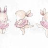 balletmuis