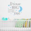dreambig